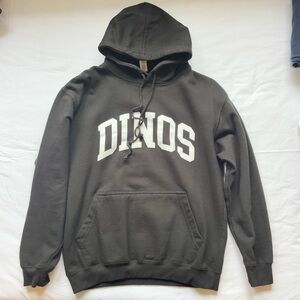 Last Dinosaurs DINOS Hoodie 2023 Tour like new size M